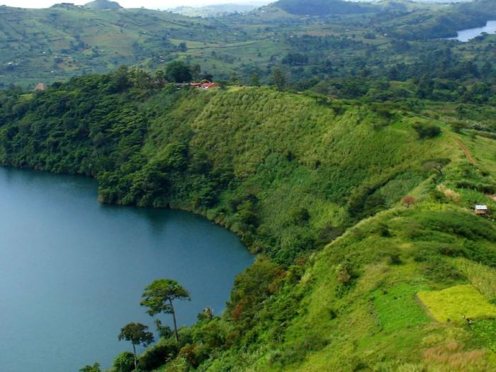 Ndali Vanilla & Spice Estate (Kabarole)