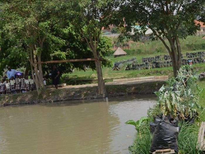 Studying fish farming